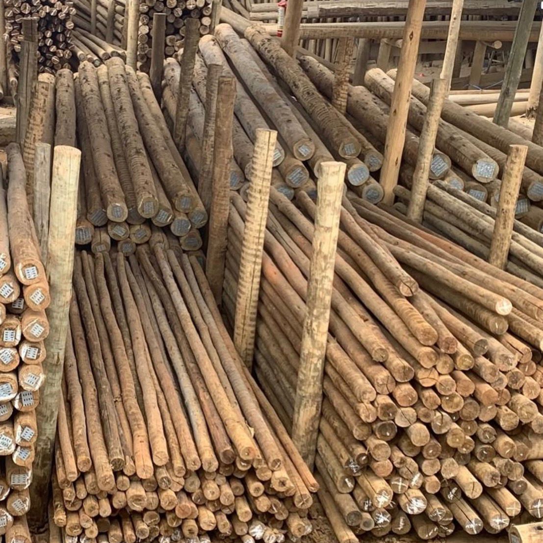 Estacas de eucalipto tratado empilhadas no estoque