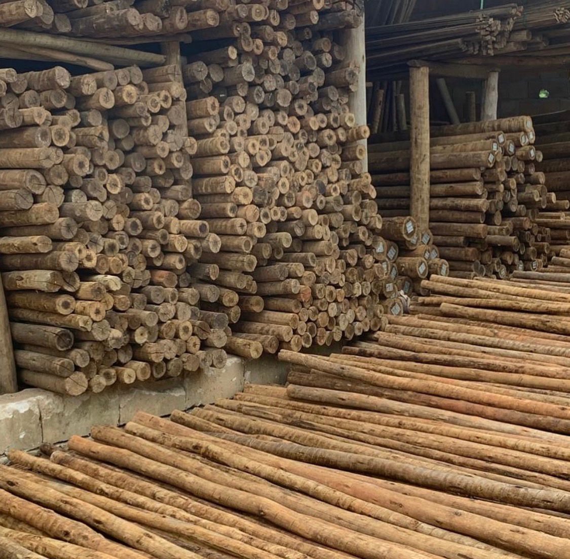 Mourões tratados armazenados no galpão