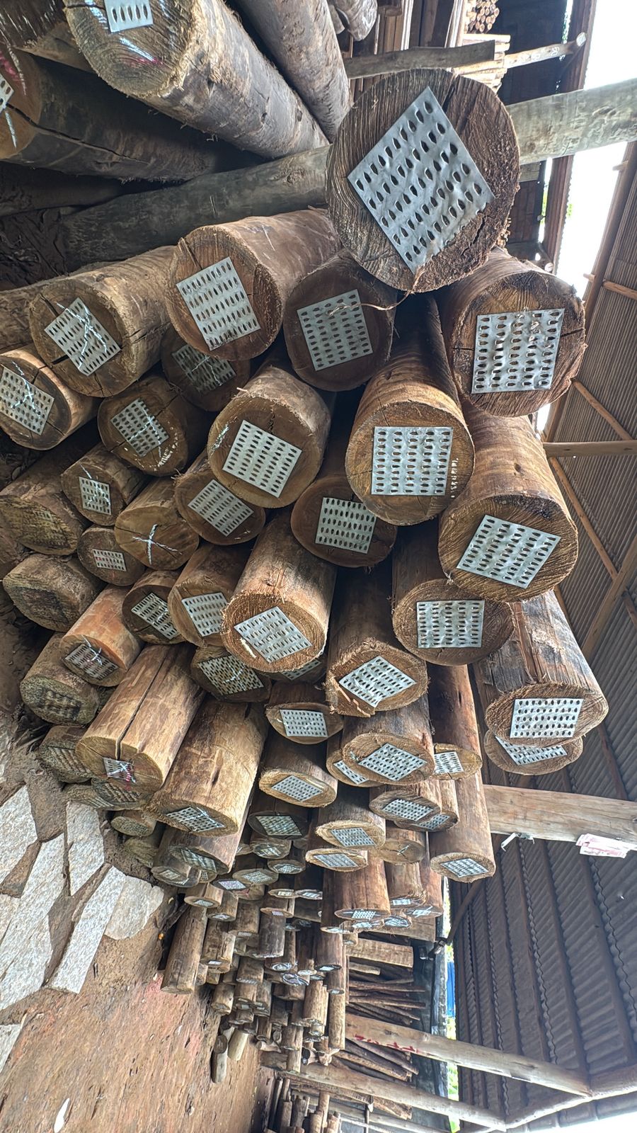 Toras e vigamentos de eucalipto tratado com chapas nas pontas